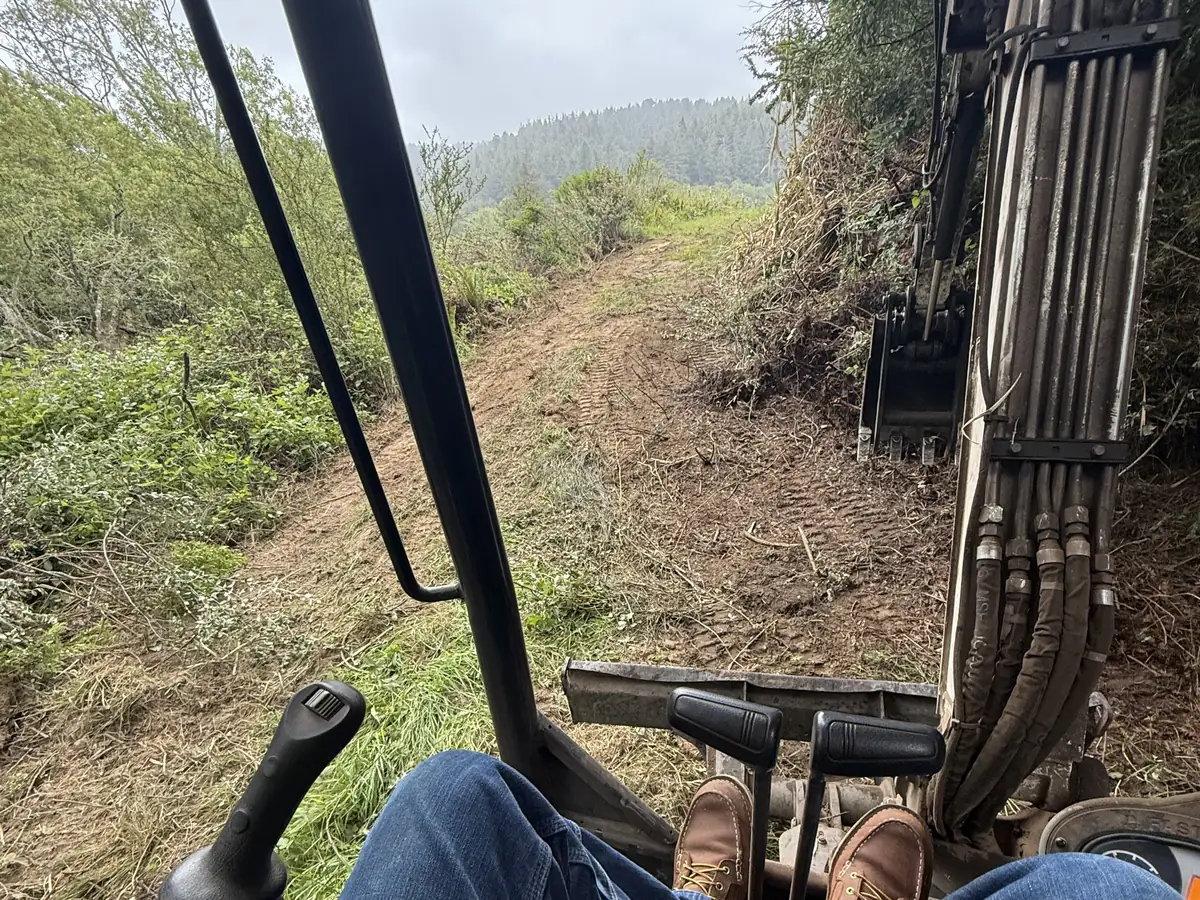 A dirt track cut through brush on a hillside, seen from an excavator's seat